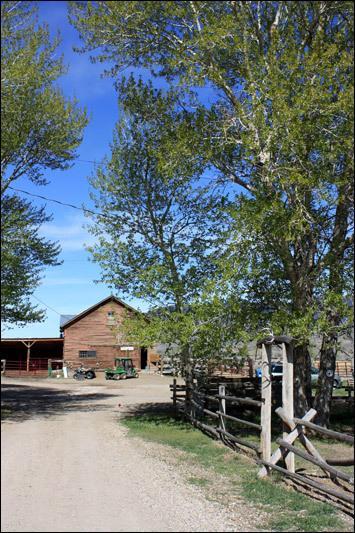 Hotel Rand Creek Ranch Wapiti Habitación foto